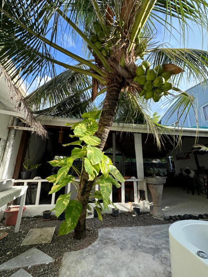 Dhiffushi Island Villa Kültér fotó